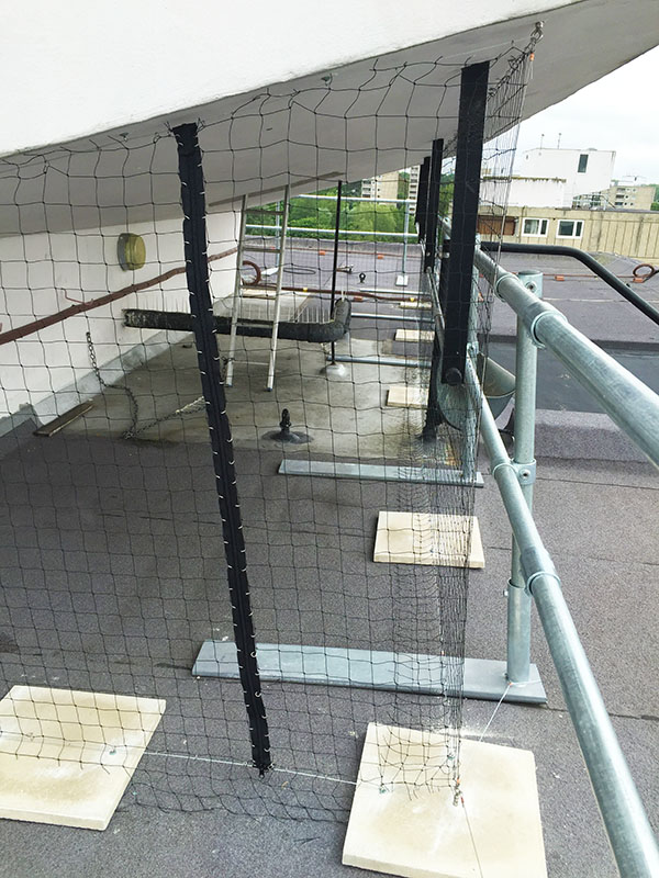 Pigeon Netting Systems